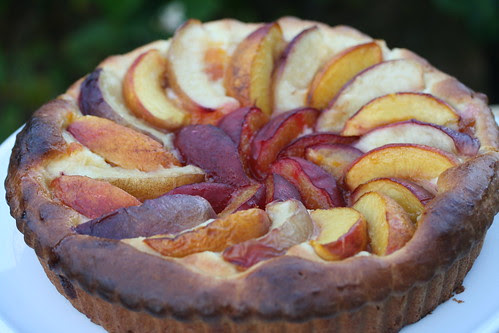 Brioche Plum Tart