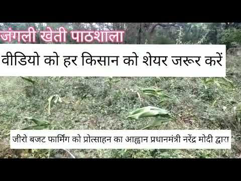 चित्र