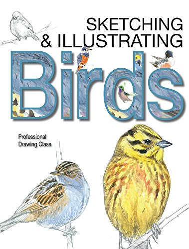 Sketching & Illustrating Birds: Professional Drawing Class, by Juan Varela Simó