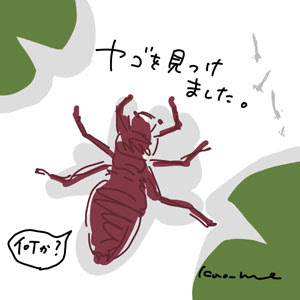 0以上 ヤゴ イラスト