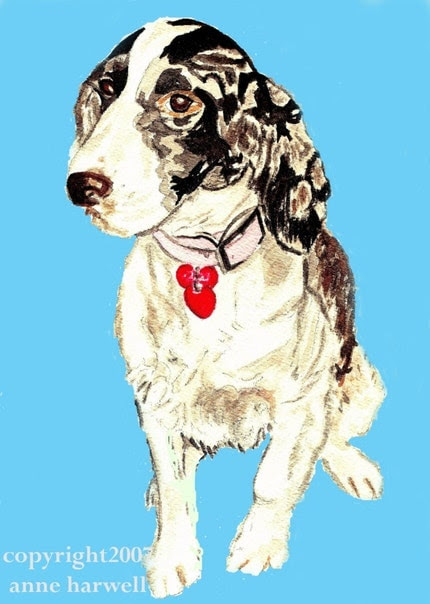 SPRINGER SPANIEL PRINT