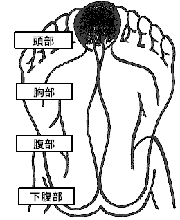 足つぼ効果検証 足つぼマッサージ出張専門療法院