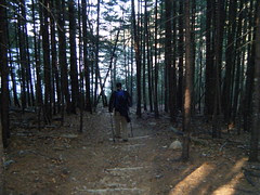 Perpendicular Trail/Mansell Mountain Hike 11/7/09