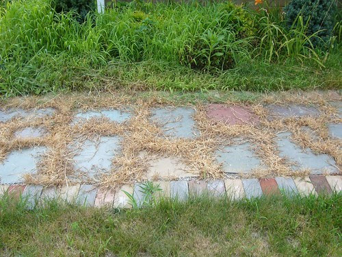 Walkway Weeds - Level Two