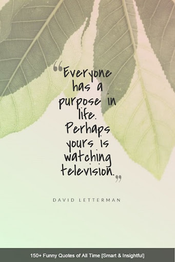 Funny Quotes About Life Lessons