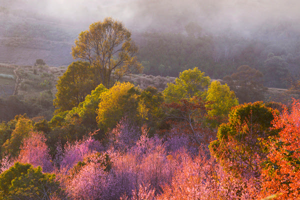 Dream Destinations 2 
