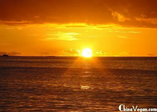 太陽