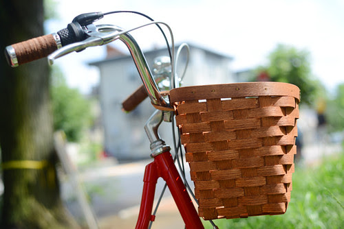 Papillionaire Sommer