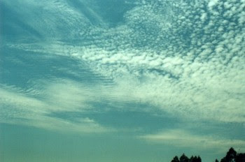 Cirrocumulus