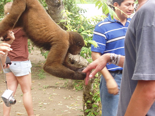 Monkey Island