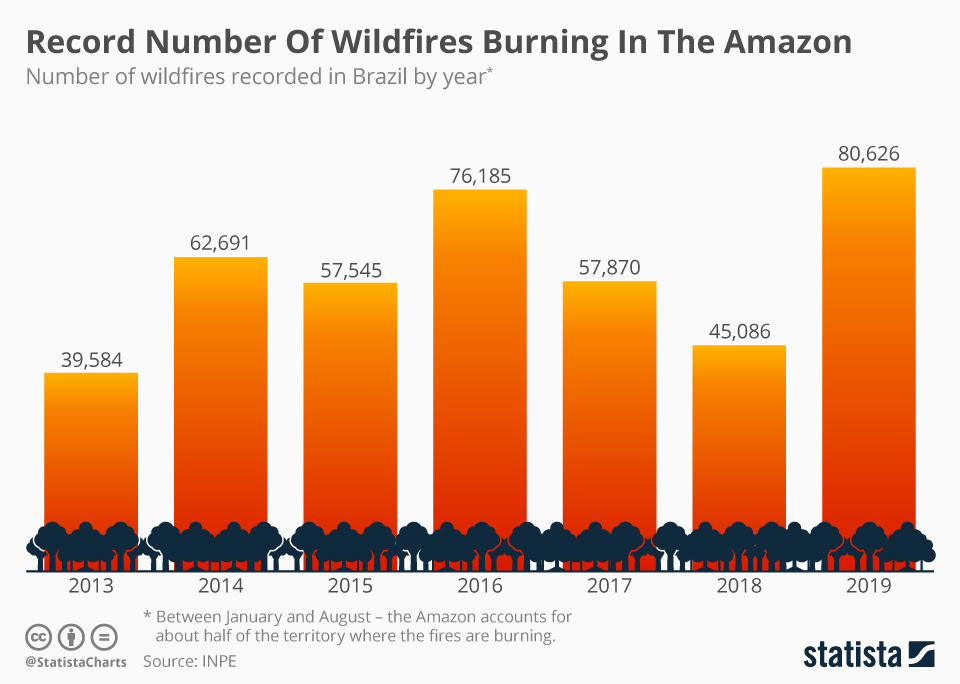 Chart Record Number Of Wildfires Burning In The Amazon Statista