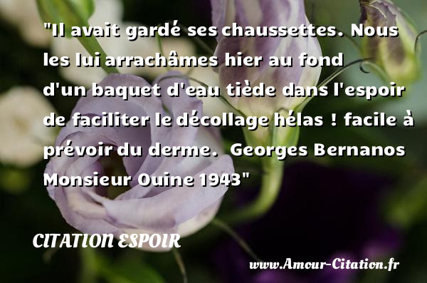 Citation Espoir Tout Savoir Sur Les Citations Espoirs Amour Citation Fr Fr