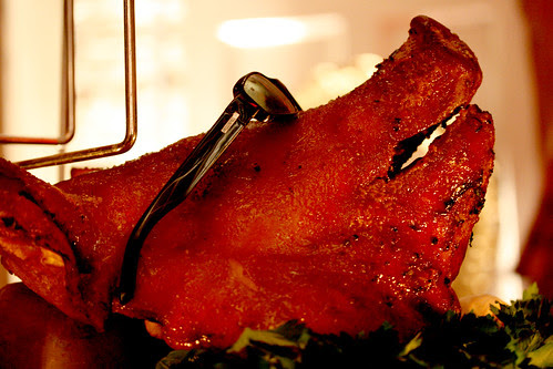 Pigs head
