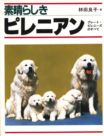 名犬ジョリー グレート ピレニーズ