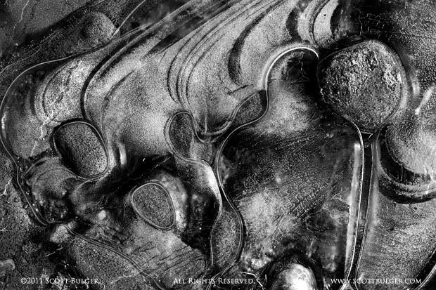 ©2011 Scott Bulger, All Rights Reserved