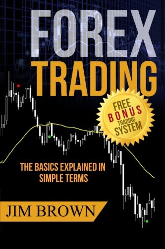 FOREX TRADING:  The Basics Explained in Simple Terms (Forex, Forex for Beginners, Make Money Online, Currency Trading, Foreign Exchange, Tr