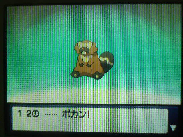 ゲットだぜ