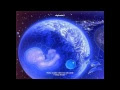 Download Indigo Erwachsene Wegbereiter Einer Neuen Gesellschaft Sind Sie Eine Indigo Seele Und Wissen Es Nicht Pdf Free