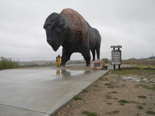 Giant Buffalo in Jamestown, ND