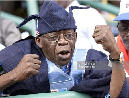 Image result for tinubu