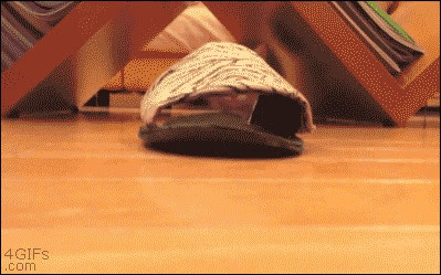 gif, анимация