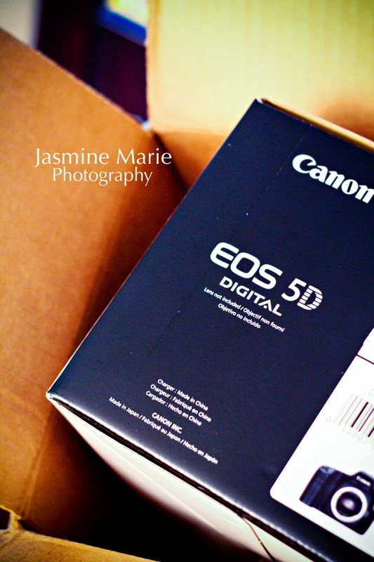 Canon5D01.jpg