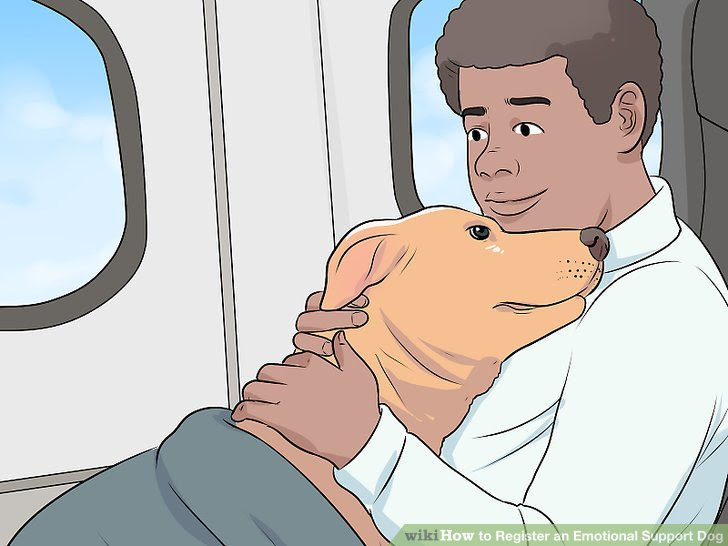 Register an Emotional Support Dog Step 11.jpg