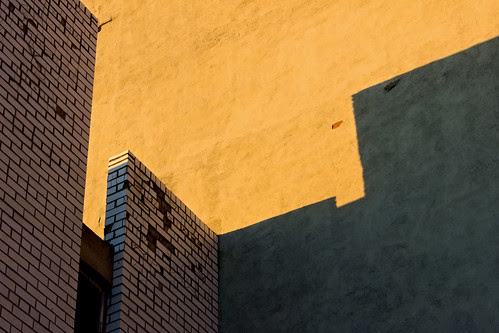 Shadows 1