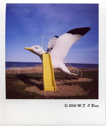gull slide