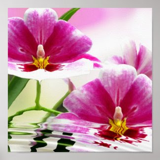 Orchide ripple print
