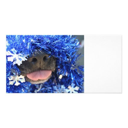 Black dog nose tongue out blue tinsel custom photo card