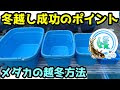 √70以上 メダカ 飼育 冬 504047-メダカ 飼育 屋内 冬