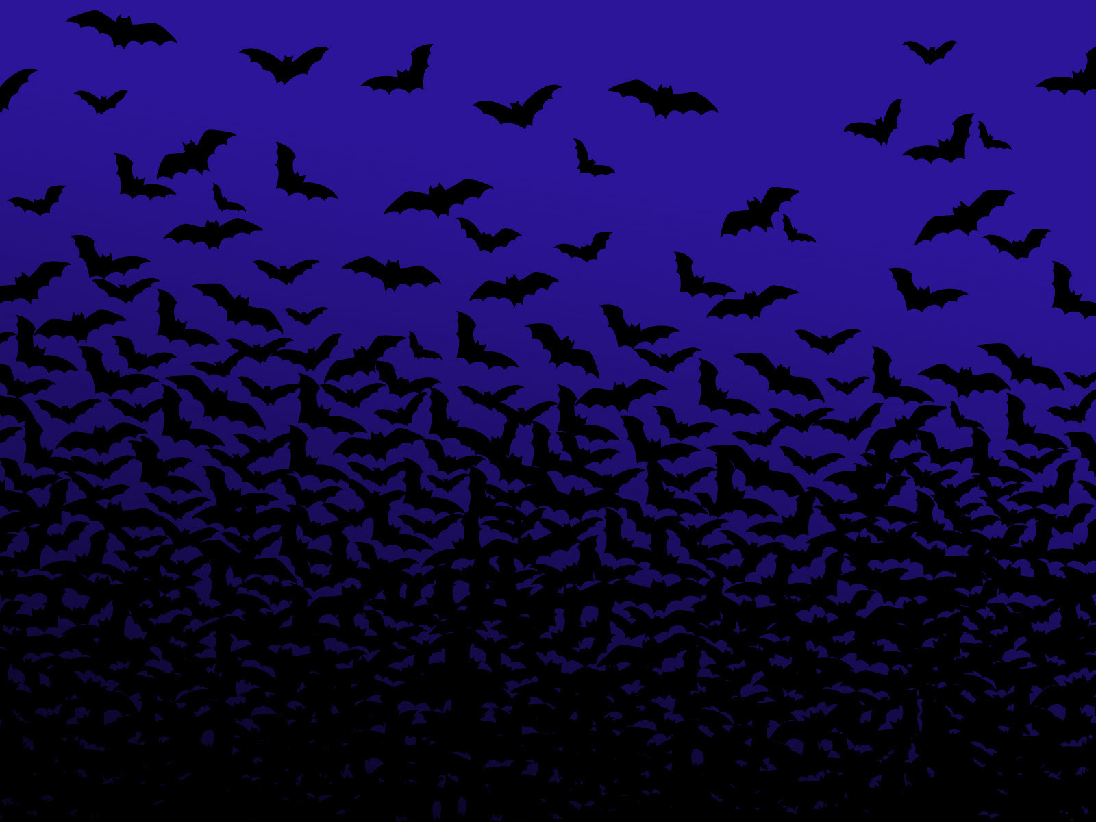 Scary Halloween 2012 Hd Wallpapers Pumpkins Witches HD Wallpapers Download Free Map Images Wallpaper [wallpaper376.blogspot.com]