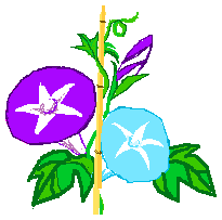 朝顔イラスト 無料 アメーバパコで背景透過ｇｉｆ ピグライフ攻略ぅ