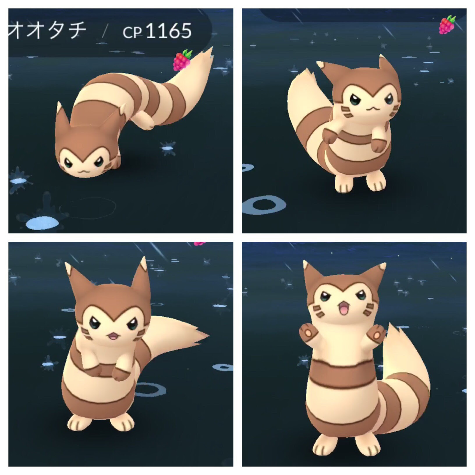 色違い オタチ グライガーみんなは捕まえた 一週間の結果は みんなのポケgo みんポケ