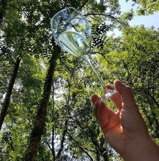 El Txakoli no es el único vino vasco