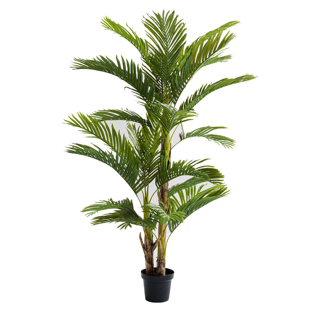 ヤシの木 190cm デコプラント オブジェ 置物の通販 Kare ドイツの家具 インテリア雑貨 カレジャパン公式オンラインストア