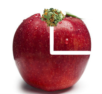 6 Maneras Desesperadas De Fumar Weed Teleport