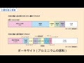 200以上 5年生の社会 325490-5年生の社会の教科書