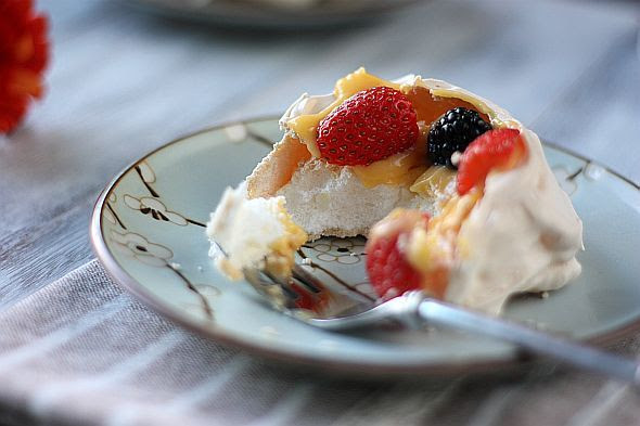 pavlova 5