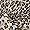 Pashmina Feel Leopard Animal Print Scarf - Brown Image #4
