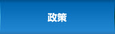 政策