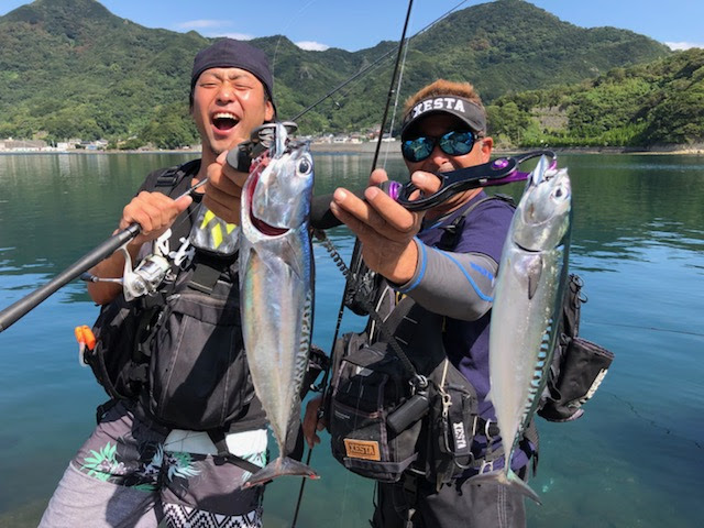 俳優 非公式 インシデント スーパー ライト ショア ジギング エギング ロッド Vasavisevafoundation Org