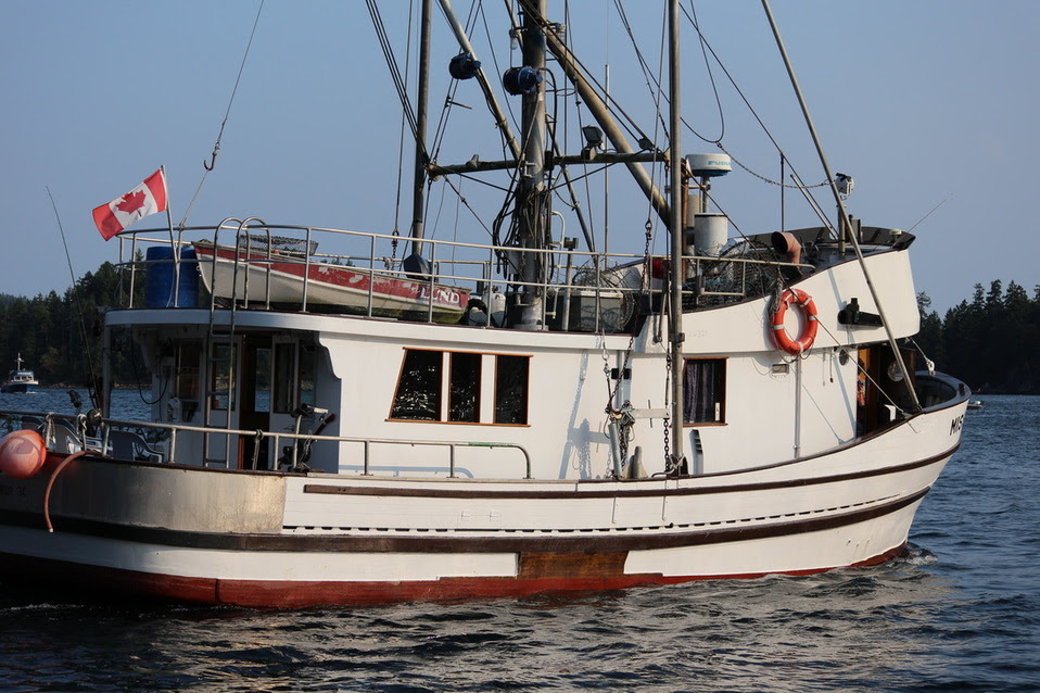 164 Boats To Be Displayed At Inaugural Auckland Wooden Boat Festival