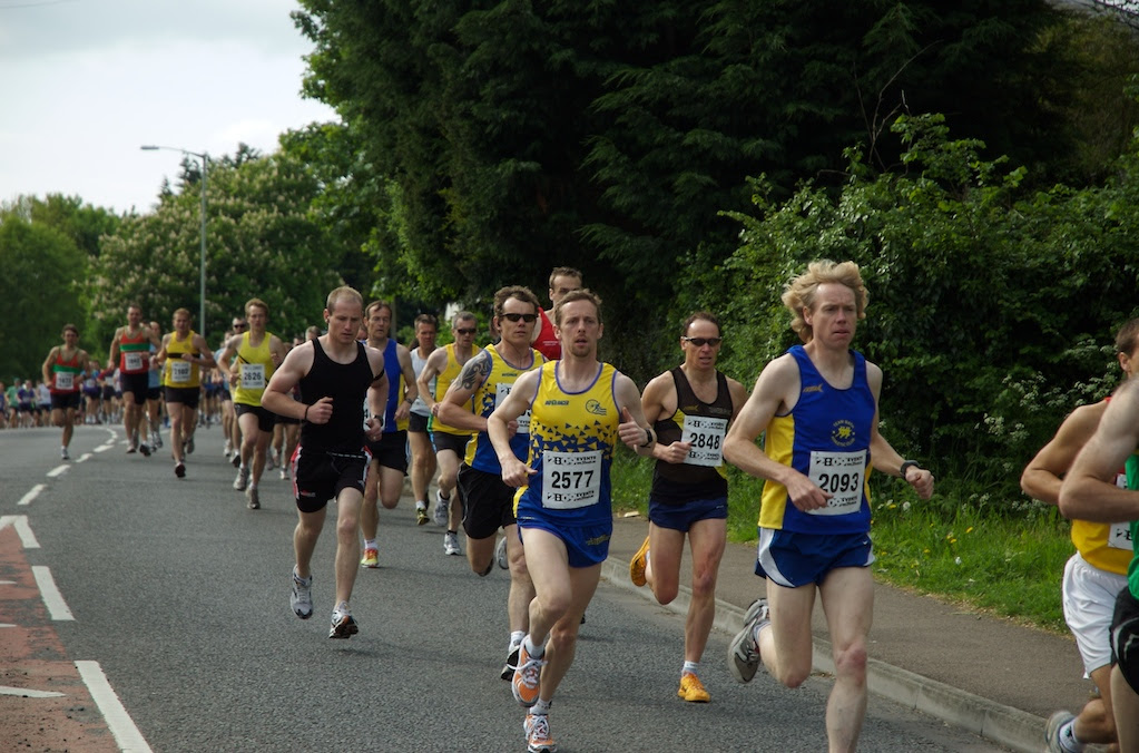 lobes of lungs. lobes of lungs. To discover lung anatomy we