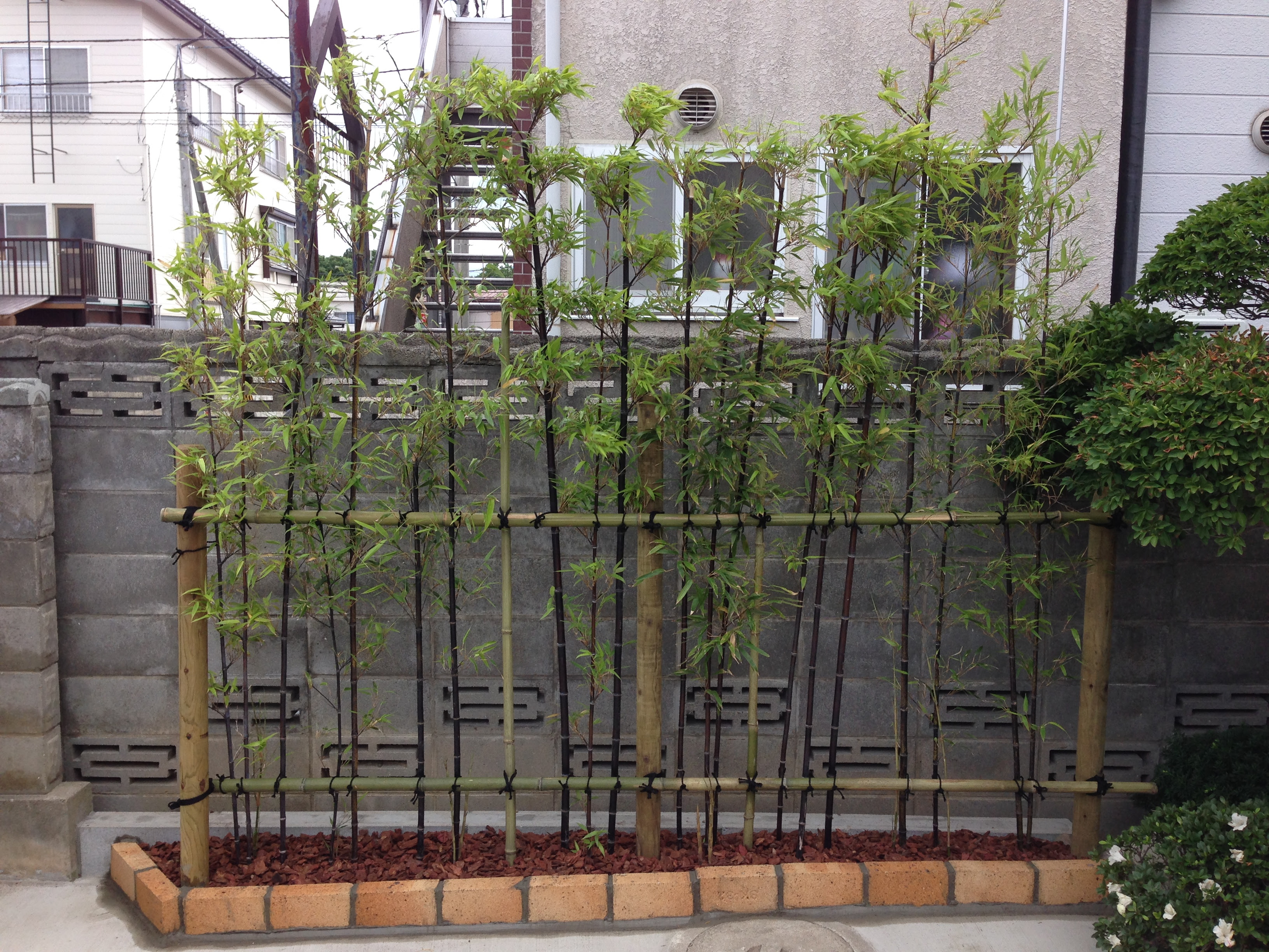 今流行の黒竹植栽と小スペースに造る小庭 成高造園