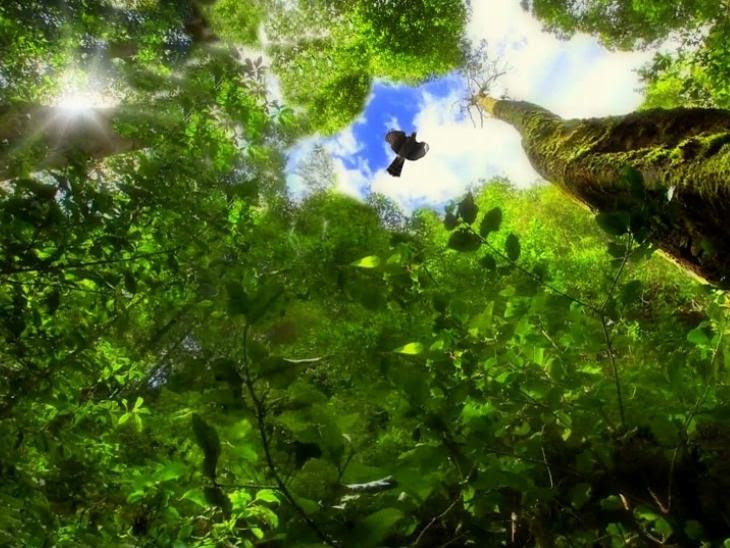 Quando o Céu e a Terra Se Encontram