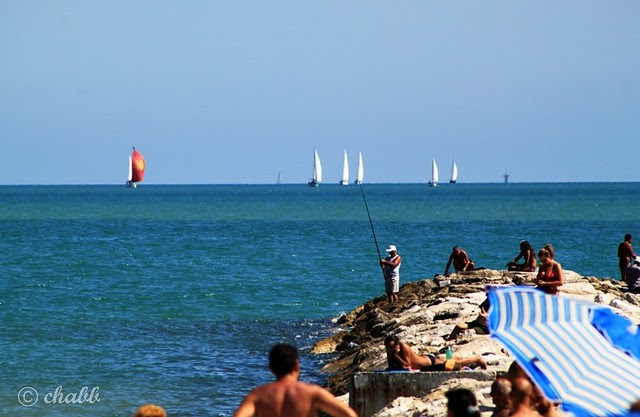 mare