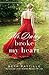 Mr. Darcy Broke My Heart
