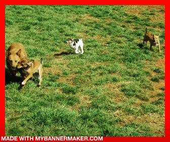 Create your own banner at mybannermaker.com!